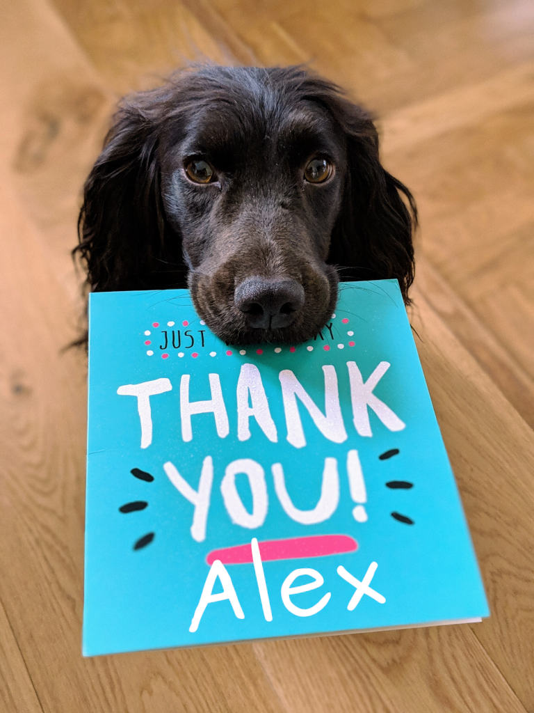 Allegato thank-you-alex.jpg